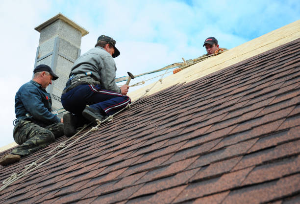 Best Metal Roofing Contractor  in Tladega, AL